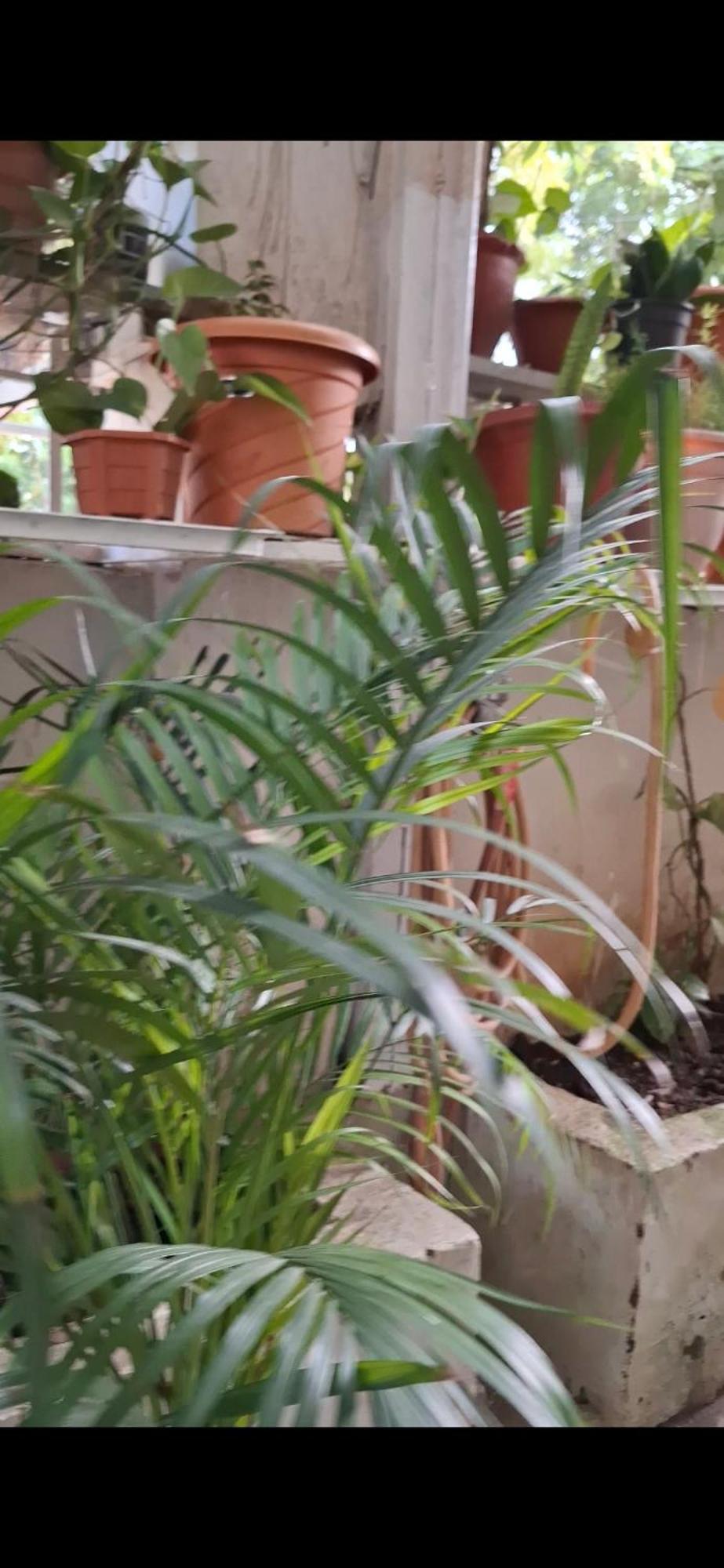 2Bhk Chandra Jyoti Villa Nit Garden Nagpur Exterior photo