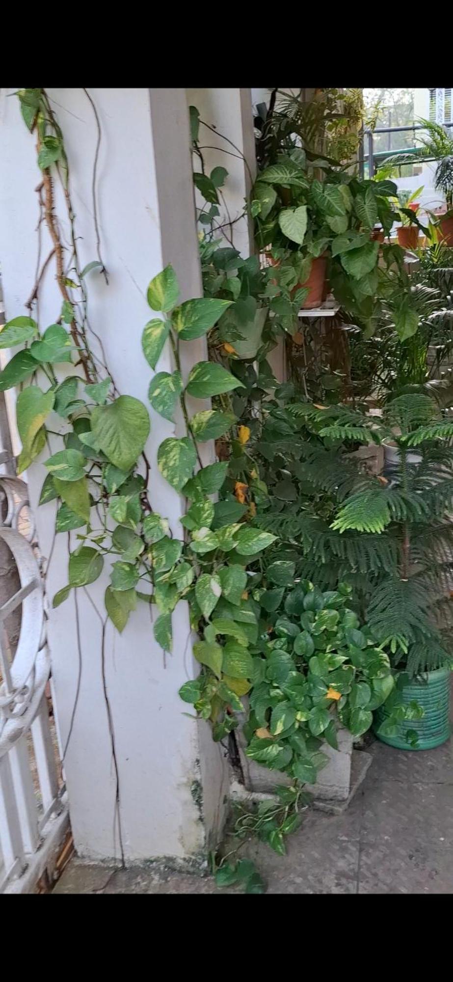 2Bhk Chandra Jyoti Villa Nit Garden Nagpur Exterior photo