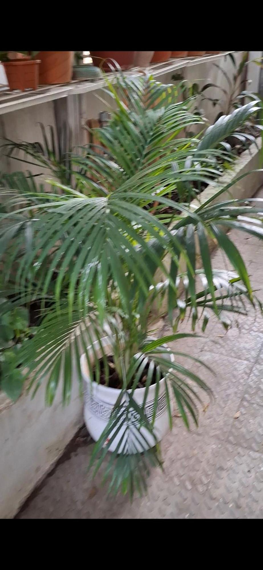 2Bhk Chandra Jyoti Villa Nit Garden Nagpur Exterior photo