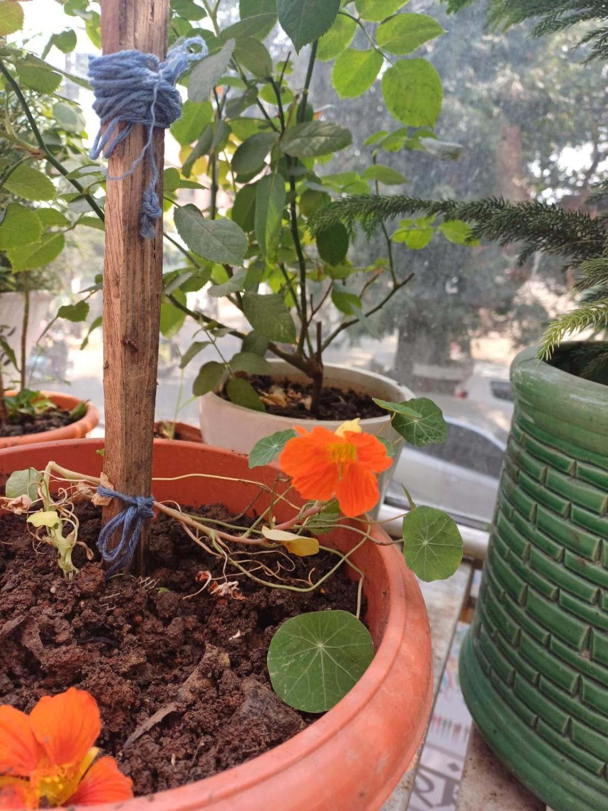 2Bhk Chandra Jyoti Villa Nit Garden Nagpur Exterior photo