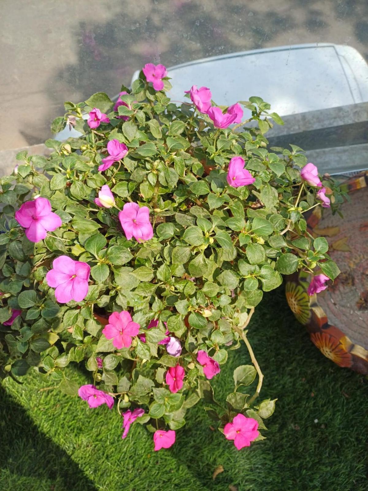2Bhk Chandra Jyoti Villa Nit Garden Nagpur Exterior photo