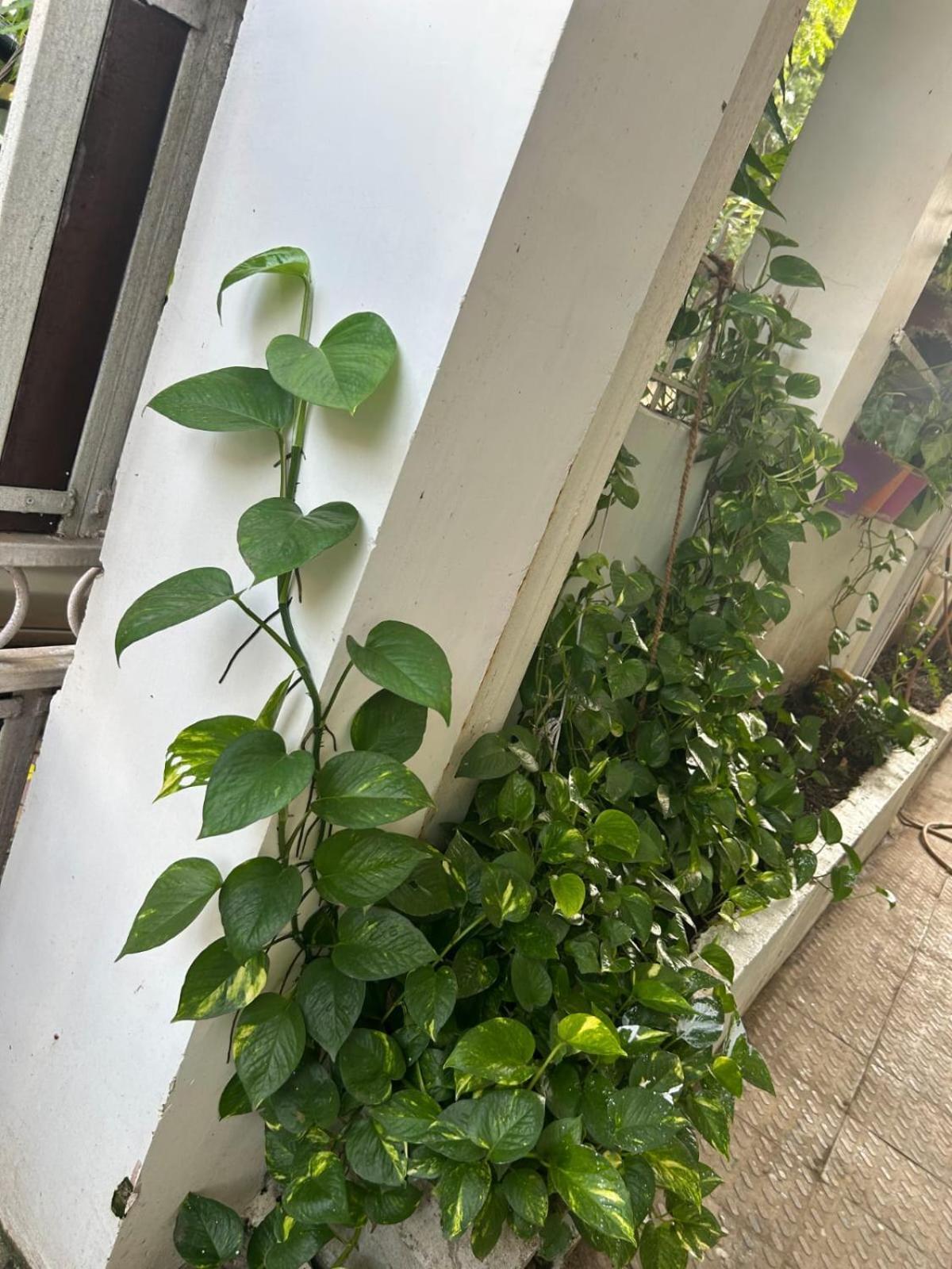 2Bhk Chandra Jyoti Villa Nit Garden Nagpur Exterior photo